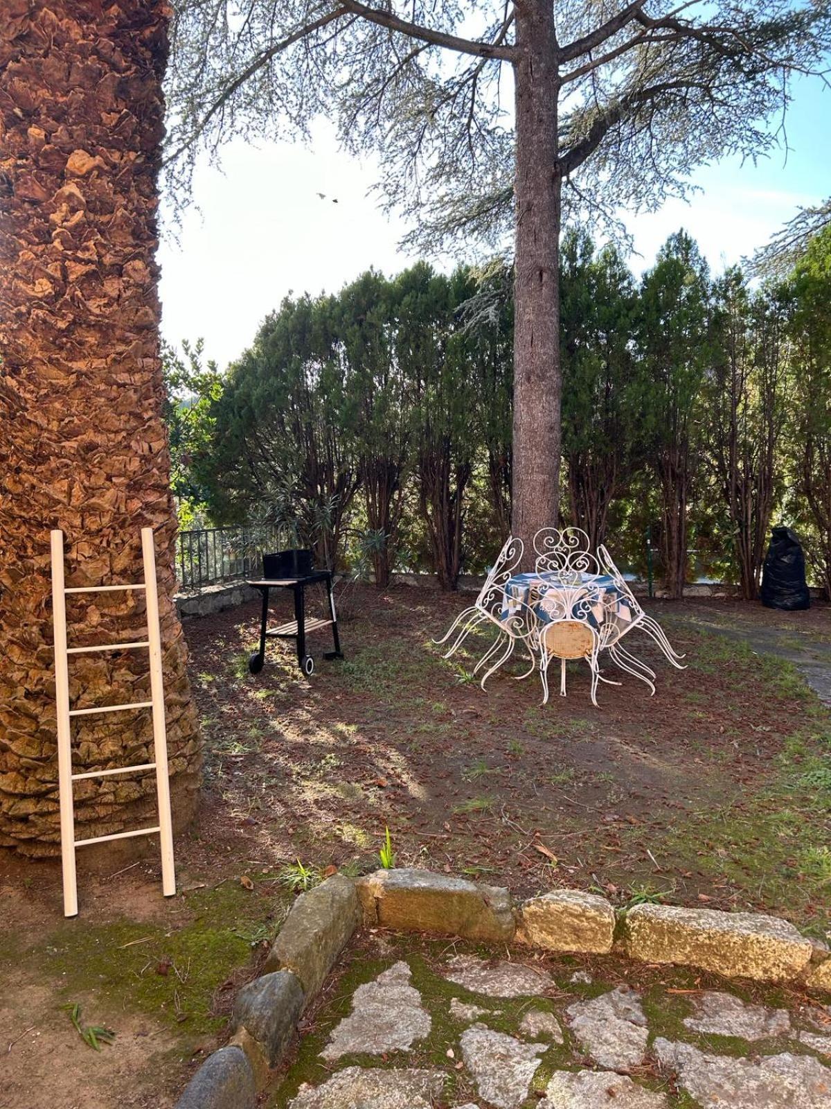 Casa Con Giardino: ואראצה חדר תמונה